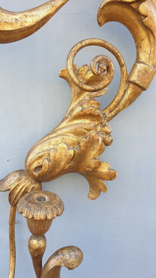 Large Wall Lamp In Carved Golden Wood, Tuscany 19th Century