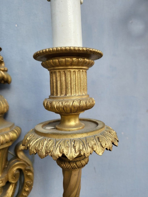 Pair of Louis XVI Gilt Bronze Sconces, 19th Century