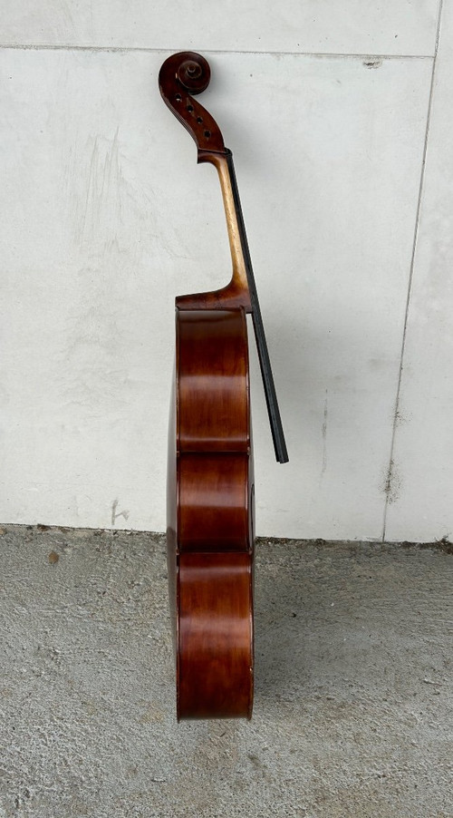 Violoncello Old Companion - Violino - H 113 Cm