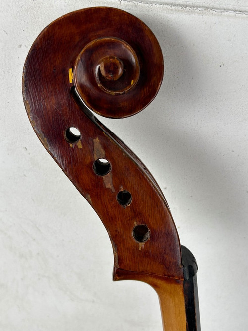 Violoncello Old Companion - Violino - H 113 Cm