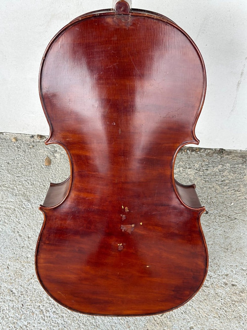 Violoncello Old Companion - Violino - H 113 Cm