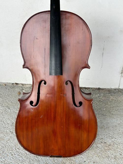 Violoncello Old Companion - Violino - H 113 Cm