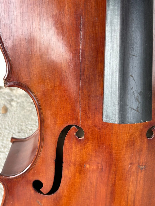 Violoncello Old Companion - Violino - H 113 Cm