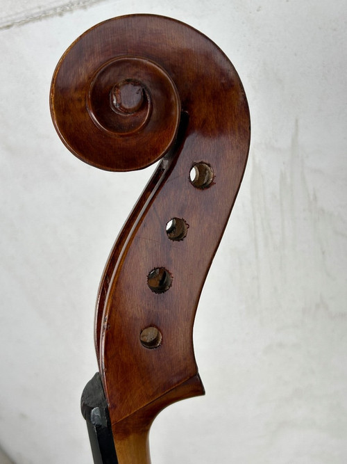 Violoncello Old Companion - Violino - H 113 Cm