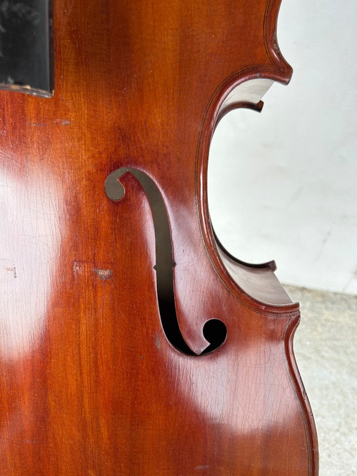 Violoncello Old Companion - Violino - H 113 Cm