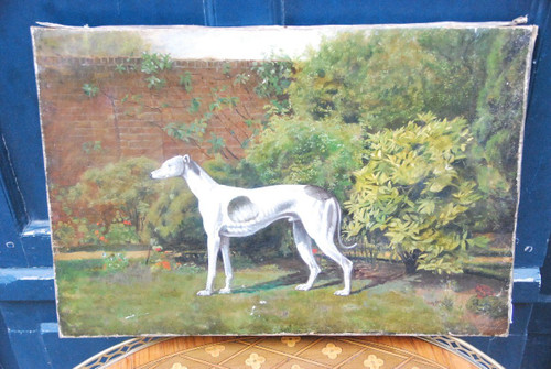 Lévrier Whippet , école Anglaise XIXe siècle