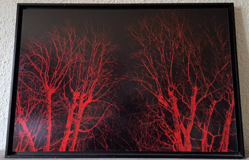 Eric Neveu, „Rotes Holz“, Fotografie, 20. Jahrhundert.