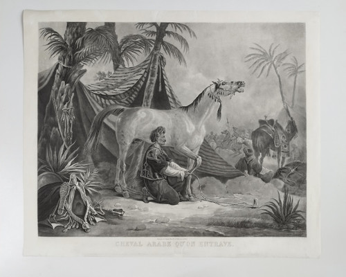 Arabian Horse Being Hindered Orientalist Engraving After Vernet Etching Old Print