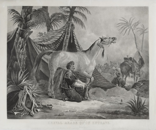 Arabian Horse Being Hindered Orientalist Engraving After Vernet Etching Old Print