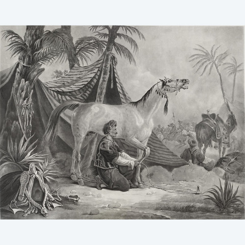 Arabian Horse Being Hindered Orientalist Engraving After Vernet Etching Old Print