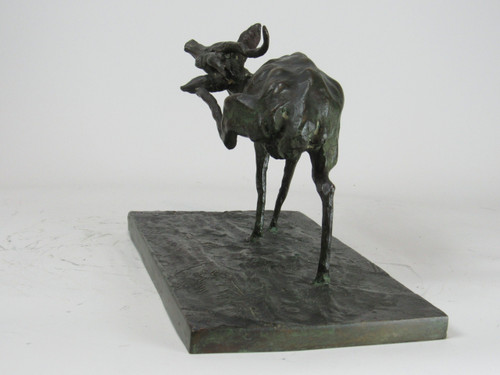 Antilope che si gratta. Bronzo animale di Guido Righetti – (1875-1958)