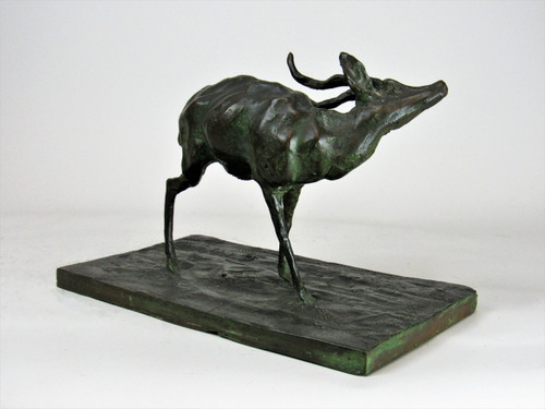 Antilope che si gratta. Bronzo animale di Guido Righetti – (1875-1958)