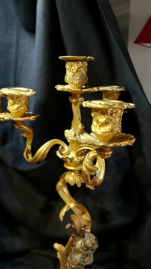 Pair of Louis XV style gilt bronze candlesticks