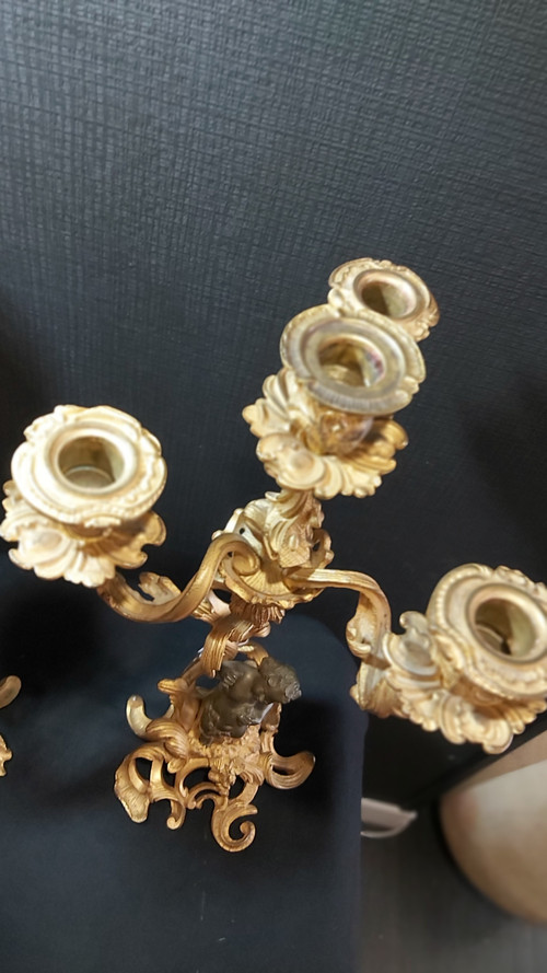 Pair of Louis XV style gilt bronze candlesticks