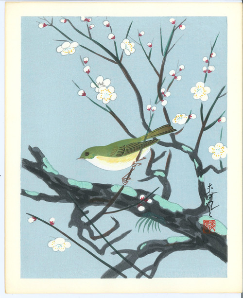 Ohno Bakufu 大野麦風, Japanese Shin-hanga print, Bird in flowering branches