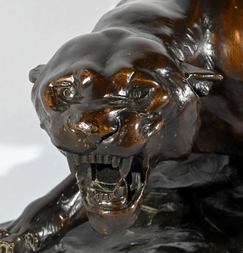 Tiger on the prowl" terracotta sculpture, signed T.Cartier - Early 20th century