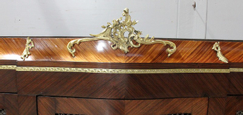 Bookcase in Blond Mahogany and Violet Wood, Louis XV taste - Late 19th century