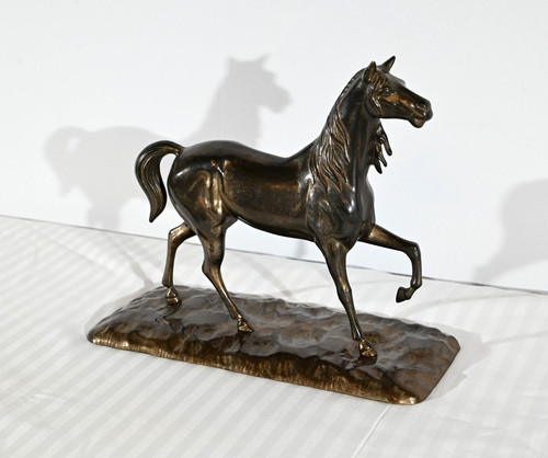 Horse in Regula - Early 20th century