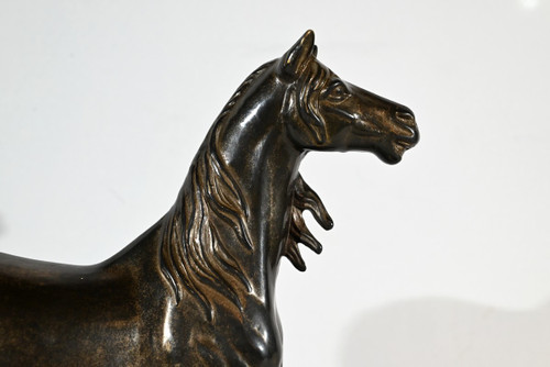 Horse in Regula - Early 20th century