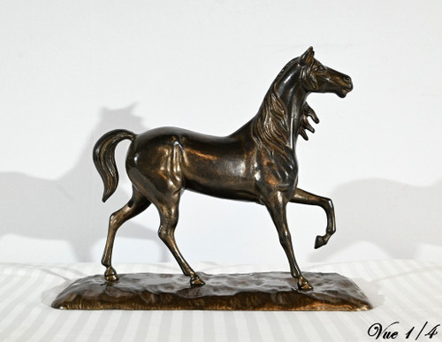 Horse in Regula - Early 20th century