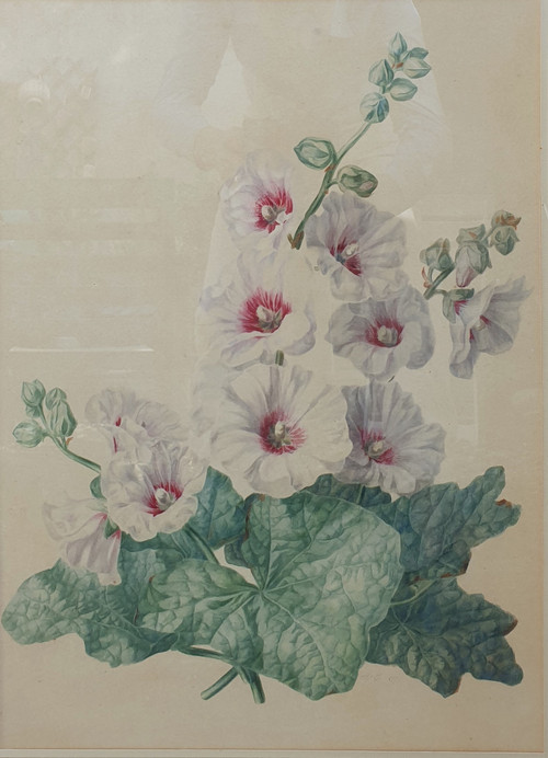 19th century French school - Hollyhocks