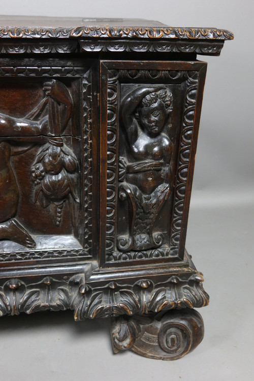 Cassone chest Italy XIX in walnut