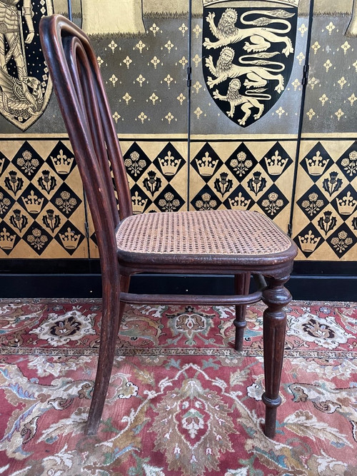 Suite mit 5 Thonet-Rohrgeflechtstühlen