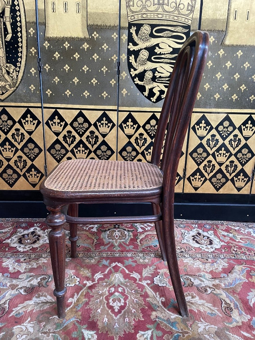 Suite mit 5 Thonet-Rohrgeflechtstühlen