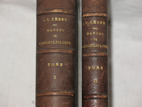 Conchology manual by J.C. Chenu in 2 complete volumes from 1859 with shell plates