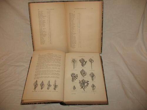 Conchology manual by J.C. Chenu in 2 complete volumes from 1859 with shell plates