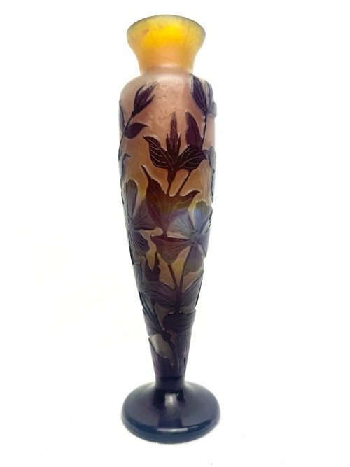 Gallé, Vase Decorated by Cape Dentaires