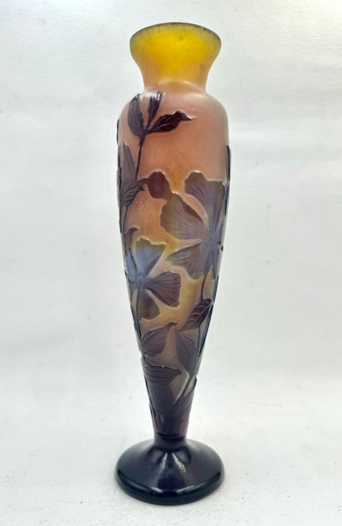 Gallé, Vase Decorated by Cape Dentaires