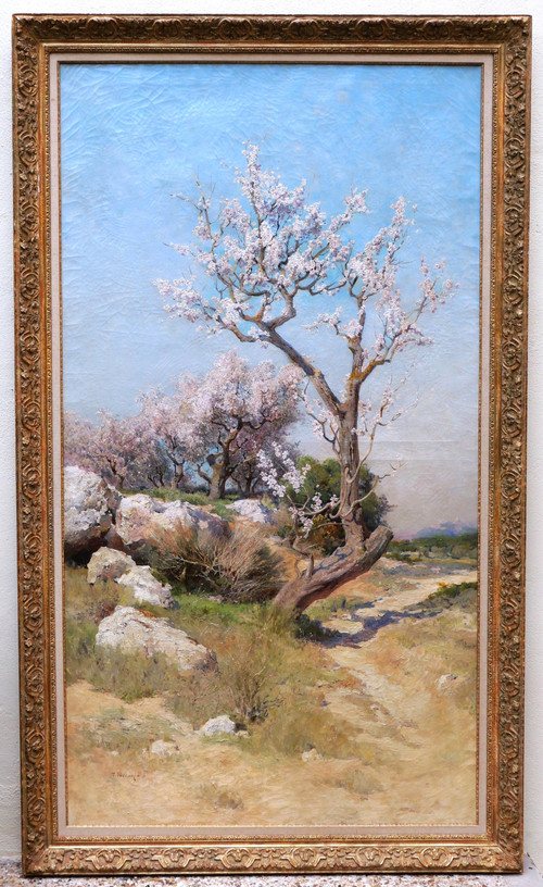 Théophile Henri DÉCANIS, Blühende Mandelbäume, Provence