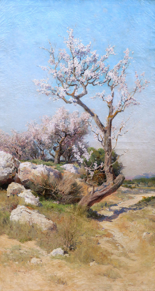 Théophile Henri DÉCANIS, Blühende Mandelbäume, Provence