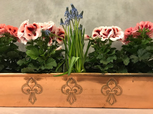 Lovely late 18th century copper fishbowl and planter.