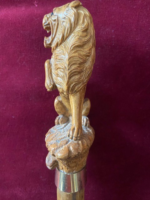 Collection cane in Malacca rush representing a lion Heraldry