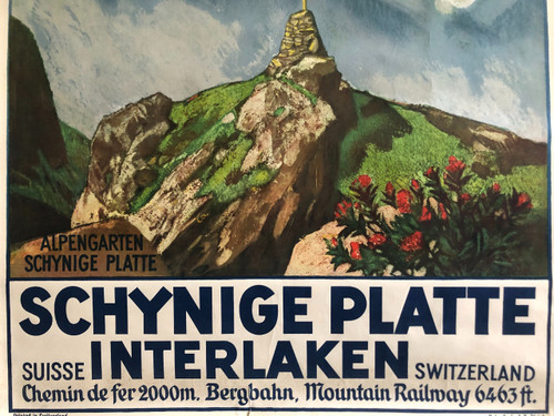 Poster Schynige Platte Interlaken di Ernst Hodel pubblicato da Gebrüder Fretz A.G 1930 Originale