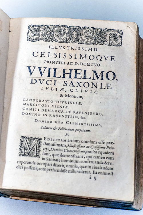 De FEBRIBUS Libri IV. Auctore DANIELE SENNERTO - Daniel Sennert - Edizione 1633