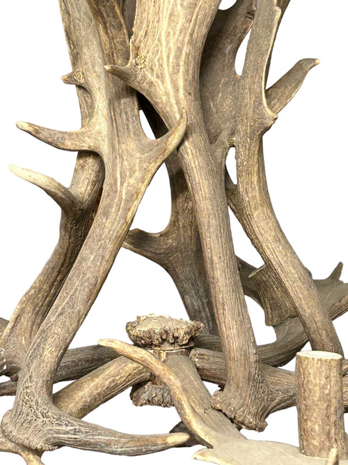 Important Elk Antler Chandelier Early 20th Century - Deer Antlers