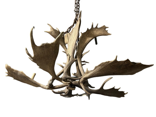 Important Elk Antler Chandelier Early 20th Century - Deer Antlers