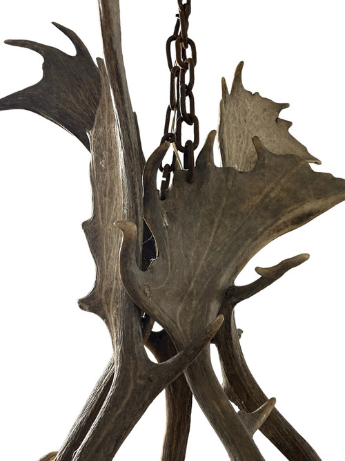 Important Elk Antler Chandelier Early 20th Century - Deer Antlers