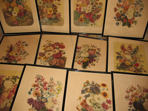 Lithographed plates Album Vilmorin bouquets of flowers painted by Elisa Champin 12 plates