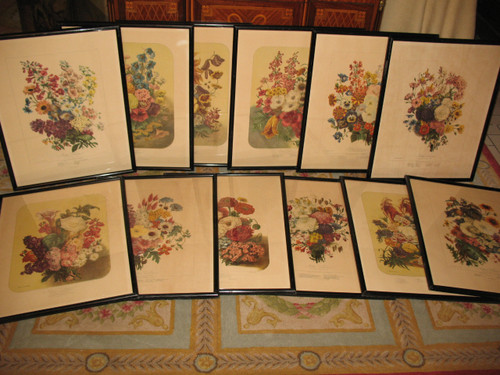 Lithographed plates Album Vilmorin bouquets of flowers painted by Elisa Champin 12 plates