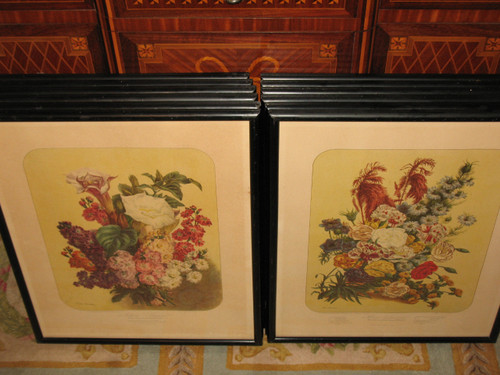 Lithographed plates Album Vilmorin bouquets of flowers painted by Elisa Champin 12 plates