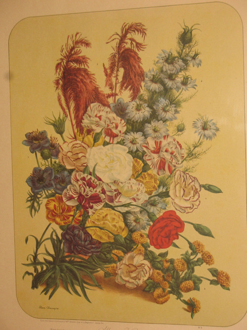 Lithographed plates Album Vilmorin bouquets of flowers painted by Elisa Champin 12 plates