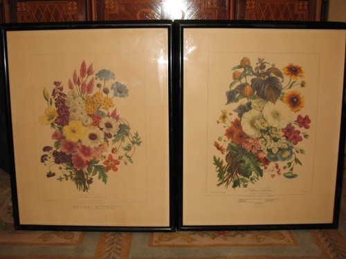 Lithographed plates Album Vilmorin bouquets of flowers painted by Elisa Champin 12 plates