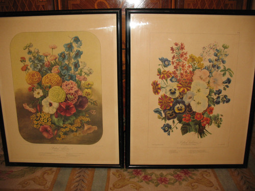 Lithographed plates Album Vilmorin bouquets of flowers painted by Elisa Champin 12 plates