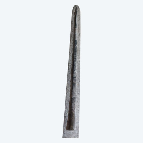 Important fossil (156 cm) - Orthoceras, 250M years old - Tazzarine deposit, Morocco - Naturalia - Curiosa