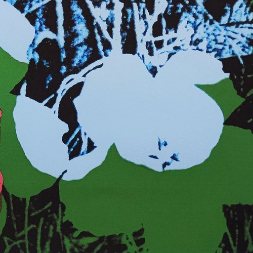 Splendida litografia in edizione limitata di Andy Warhol "Flowers" degli anni '80