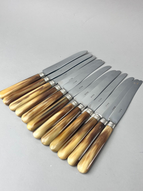 Twelve dessert or cheese knives, horn handle